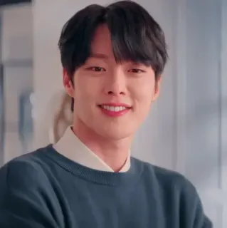 🦊 hombre, sonrisa, retrato, coreano, asiático telegram sticker
