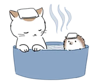 🛀 gatto, riccio, bagno, rilassante, carino telegram sticker