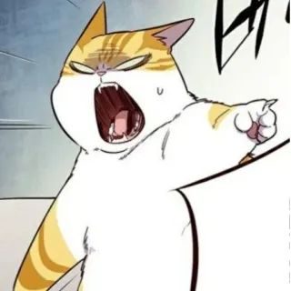 😡 고양이, 화난, 가리키는, 밈, 동물 telegram sticker