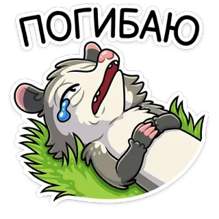 😢 ПОГИБАЮ zarigüeya, llorando, triste, angustiado, dibujos animados, pegatina telegram sticker