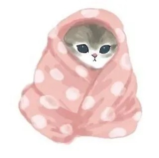 💗 kot, kociak, koc, słodki, zwierzę, zwierzę domowe telegram sticker