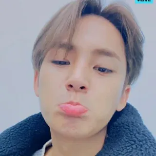💎 whatsapp sticker