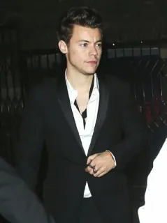 💷 Harry Styles harry styles, chanteur, célébrité, one direction telegram sticker