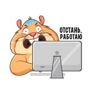 👨‍💻 ОТСТАНЬ, РАБОТАЮ hamster, computer, working, funny, animal, cute telegram sticker