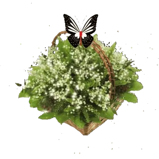 🦋 flower basket, flowers, butterfly, nature telegram sticker