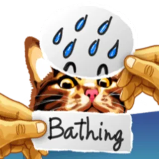 🚿 Bathing кот, купание, душ, животное, милый, смешной, питомец whatsapp sticker