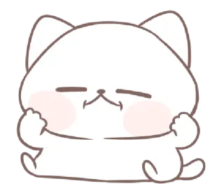 🙁 gato, adesivo, fofo, animal, gesto ofensivo whatsapp sticker