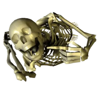 🤣 scheletro, teschio, halloween, ossa, anatomia telegram sticker