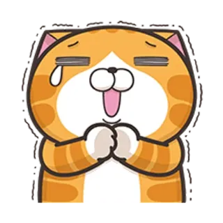 🐵 고양이, 주황색, 애원, 만화, 행복한, 우는, 사랑스러운, 귀여운 telegram sticker