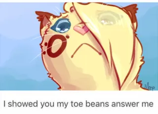 🐾 I showed you my toe beans answer me toe beans, cat, cute, animal, pet, meme telegram sticker