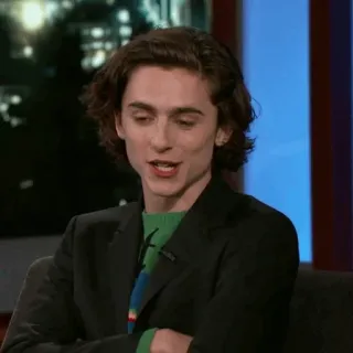 🥀 Timothée Chalamet diễn viên, người nổi tiếng, người, đàn ông, chân dung telegram sticker