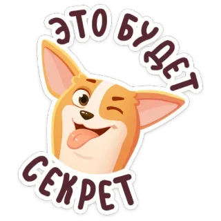 😉 это будет секрет cachorro, corgi, segredo, animal, desenho animado, engraçado, fofo telegram sticker