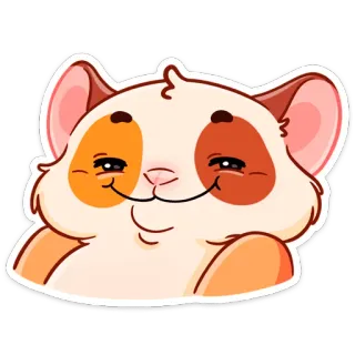 😊 gatto, divertente, meme, carino, animale, adesivo telegram sticker
