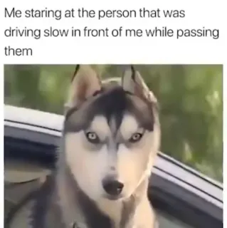😠 Me staring at the person that was driving slow in front of me while passing them telegram sticker