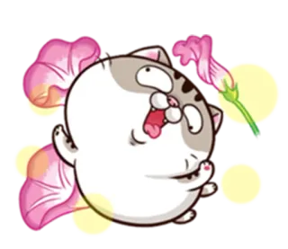 🤪 Katze, Blume, Cartoon, Süß, Tier whatsapp sticker