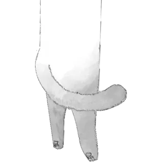 🎱 猫, 尾巴, 动物, 腿, 白色, 宠物, 小猫 telegram sticker