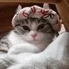 😺