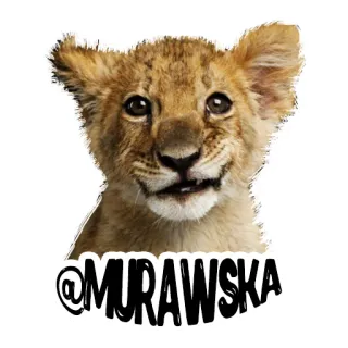👶 @MURAWSKA львёнок, животное, лев, милый, дикая природа, природа telegram sticker