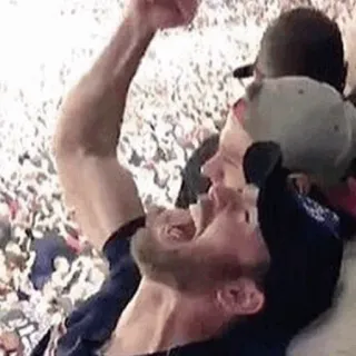 🌪 fã, esportes, celebração, multidão, emoção telegram sticker