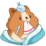 Hamster Bernard telegram stickers