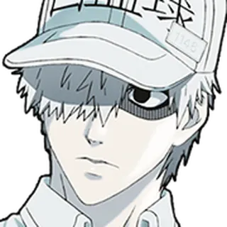 🩸 White Blood Cell Cells at Work! Anime, Les Brigades Immunitaires, Globule blanc, Personnage, Dessin animé, Japonais telegram sticker