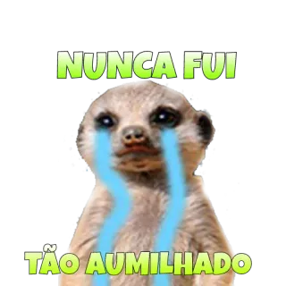 😭 NUNCA FUI
TÃO AUMILHADO suricato, chorando, triste, humilhado, animal telegram sticker