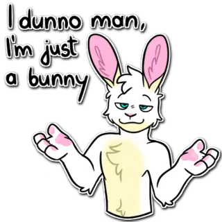 🤷‍♀ I dunno man, I'm just a bunny telegram sticker