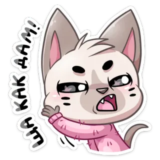👊 KAK AAM! gato, animal, fofo, desenho animado whatsapp sticker