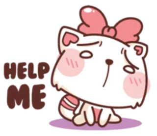 🙁 HELP ME 고양이, 귀여운, 스티커, 분홍색, 리본, 도움 telegram sticker