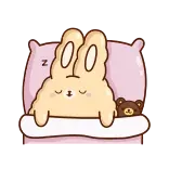 💤