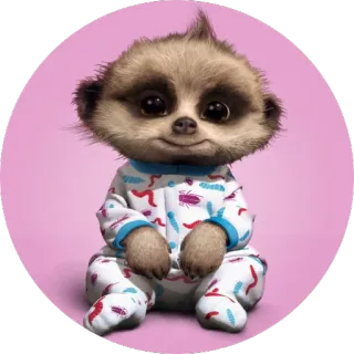 😊 suricata, animal, lindo, pijama, dibujos animados, pegatina telegram sticker