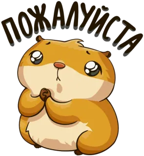 🙏 пожалуйста 仓鼠, 恳求, 可爱, 动物, 卡通 whatsapp sticker