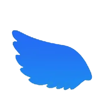 🐋