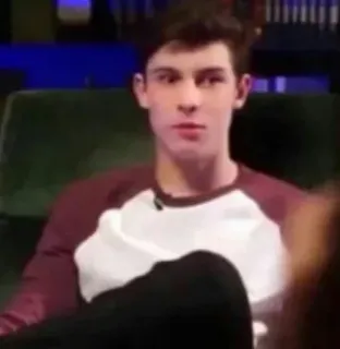😶 Shawn Mendes celebrity, singer, male, person, portrait telegram sticker