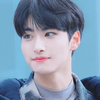 ✨ nam, K-pop, đẹp trai, người đàn ông, chân dung, khuôn mặt telegram sticker