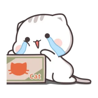 🍼 Cat cat, animal, box, sticker, cartoon whatsapp sticker