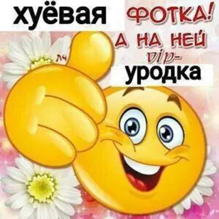 👎 хуёвая фотка! а на ней vip-уродка Daumen hoch, Emoji, Beleidigend, Russisch telegram sticker
