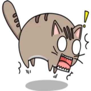 ❗️ gatto, scioccato, sorpreso, cartone animato, adesivo, animale whatsapp sticker