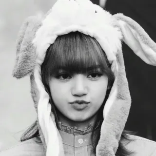 🖤 Lisa kpop, ca sĩ, người nổi tiếng, thỏ, thần tượng, âm nhạc telegram sticker
