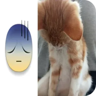 🐱 chat, chaton, triste, emoji, animal, animal de compagnie, orange, blanc telegram sticker