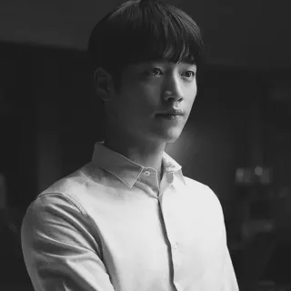 ➖ man, portrait, monochrome, person, black and white, shirt, face telegram sticker