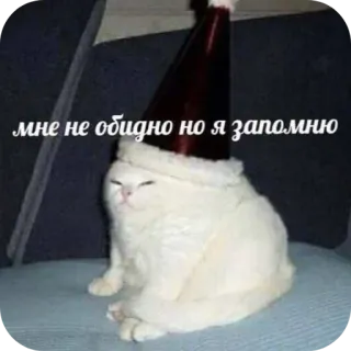 😑 мне не обидно но я запомню cat, meme, funny, Russian, I'll remember, party hat, animal telegram sticker
