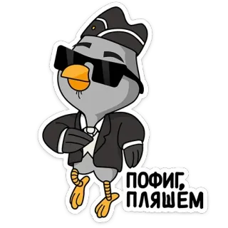 ⚰️ ПОФИГ ПЛЯШЕМ piccione, uccello, occhiali da sole, cappello, completo, russo telegram sticker