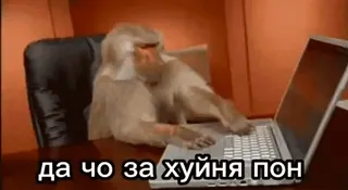 🌟 да чо за хуйня пон macaco, digitando, computador, escritório, engraçado, animal whatsapp sticker