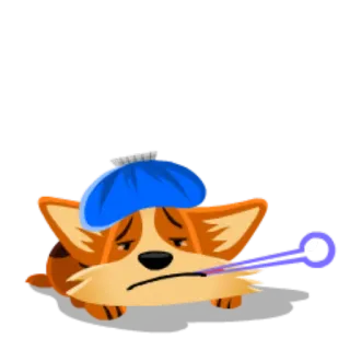 😰 enfermo, perro, corgi, termómetro, triste telegram sticker