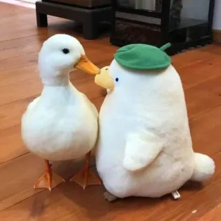 🧸 pato, pássaro, animal, brinquedo, fofo telegram sticker