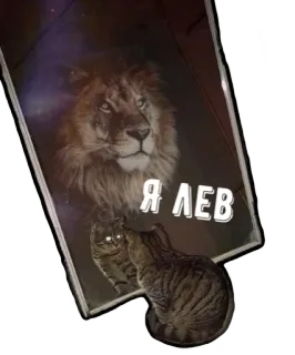 🦁 Я ЛЕВ лев, кот, отражение, животное, питомец, наклейка whatsapp sticker