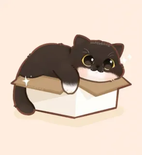 🐱 chat, chaton, boîte, mignon, animal, animal de compagnie telegram sticker