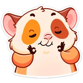 👌 แฮมสเตอร์, น่ารัก, สัตว์, ผ่อนคลาย, เซน, โอเค telegram sticker