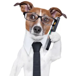📱 dog, glasses, business, animal, tie, shirt, phone telegram sticker